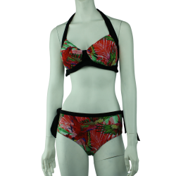 Bikini Papegje