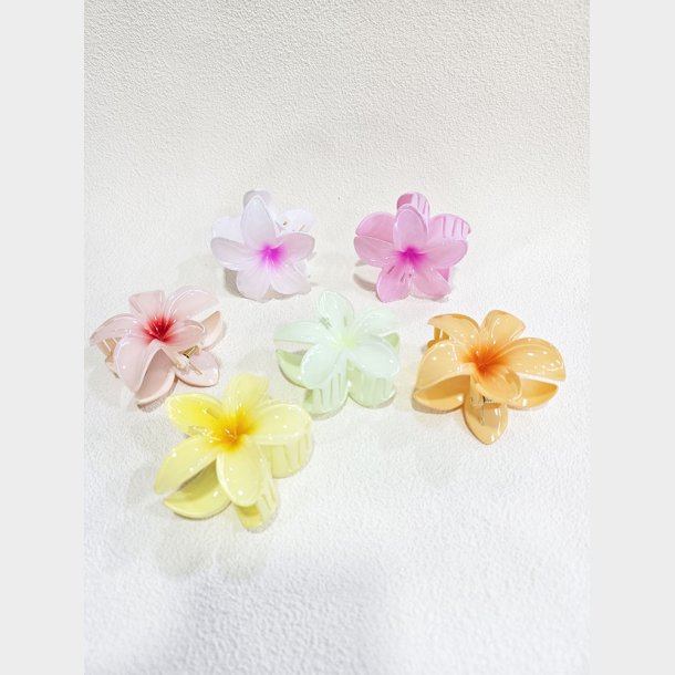 Blomster H�rklemme