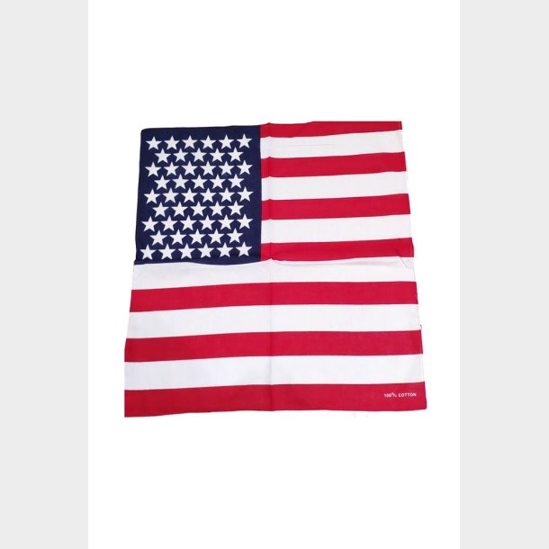 USA Flag Bandana