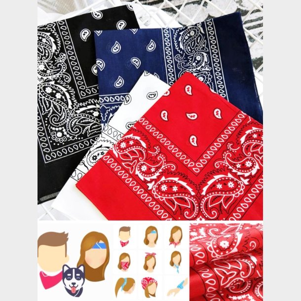 Bandana Classic Paisley