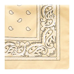 Bandana Classic Paisley