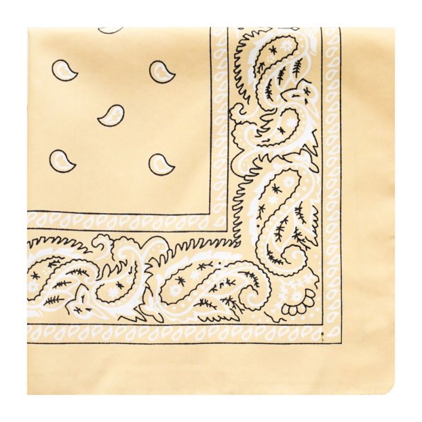 Bandana Classic Paisley