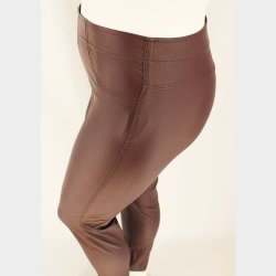Aleia Plus Coated Leggings