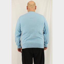 Karsten Herre V-Halset Strik