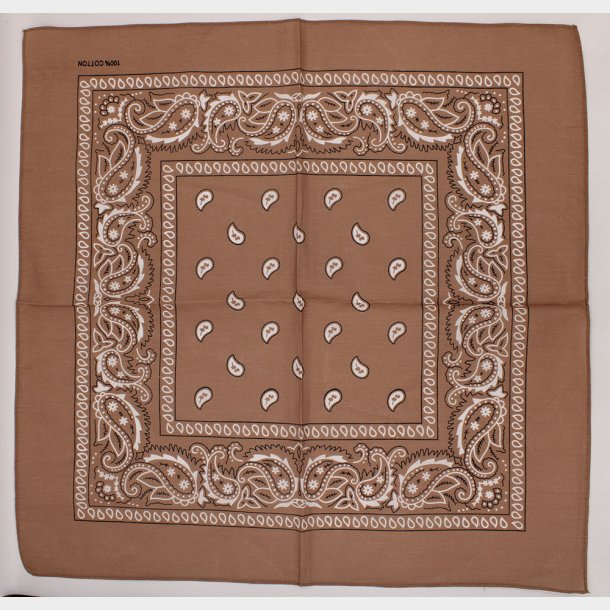 Bandana Classic Paisley