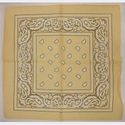 Bandana Classic Paisley