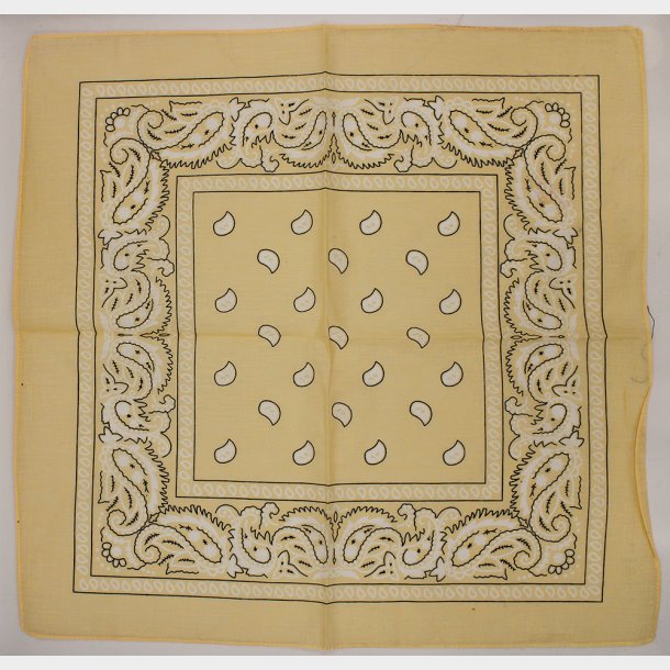 Bandana Classic Paisley