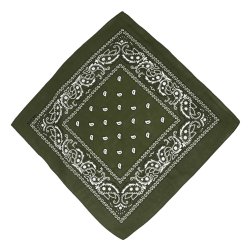 Bandana Classic Paisley