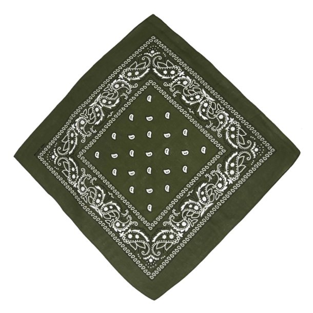 Bandana Classic Paisley