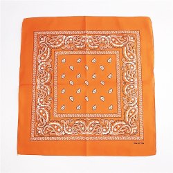 Bandana Classic Paisley