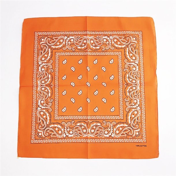 Bandana Classic Paisley