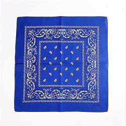 Bandana Classic Paisley