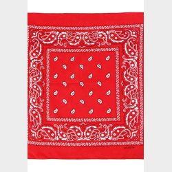 Bandana Classic Paisley