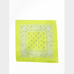 Bandana Fluorescerende Classic Paisley (4 Farver)