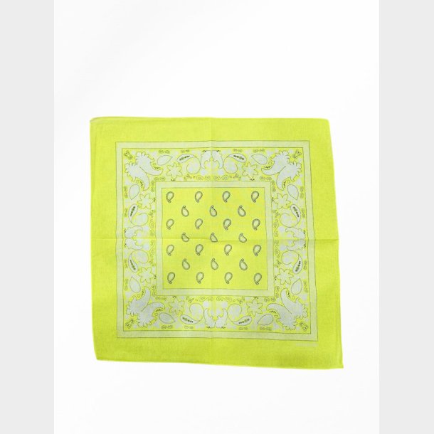 Bandana Fluorescerende Classic Paisley (4 Farver)