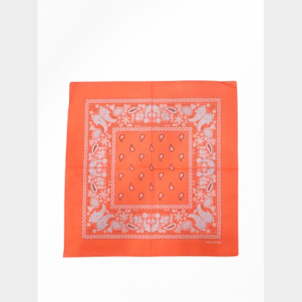 Bandana Fluorescerende Classic Paisley (4 Farver)