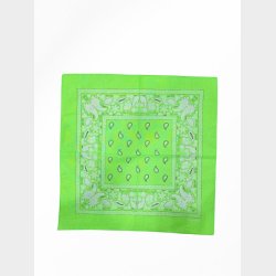 Bandana Fluorescerende Classic Paisley (4 Farver)