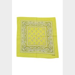 Bandana Classic Paisley
