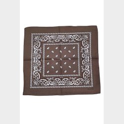 Bandana Classic Paisley