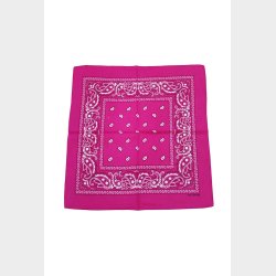 Bandana Classic Paisley