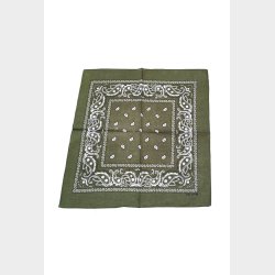 Bandana Classic Paisley