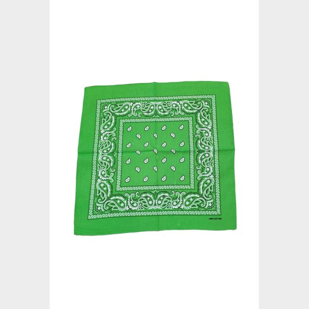 Bandana Classic Paisley