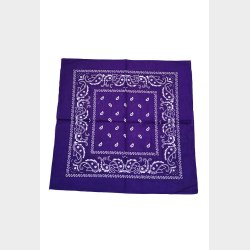 Bandana Classic Paisley