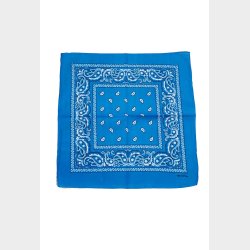 Bandana Classic Paisley