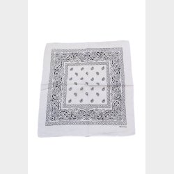 Bandana Classic Paisley