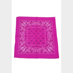 Bandana Classic Paisley