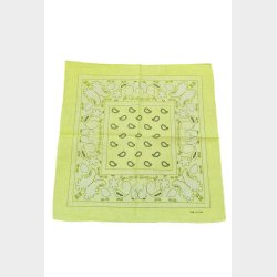 Bandana Classic Paisley