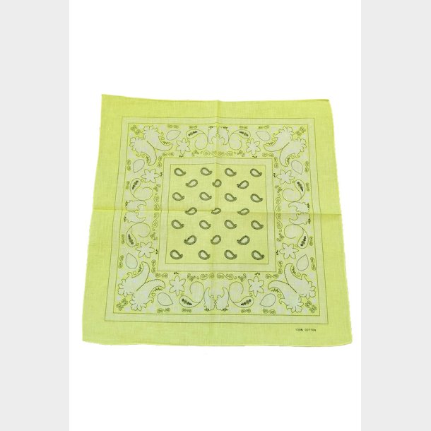 Bandana Classic Paisley