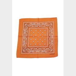 Bandana Classic Paisley