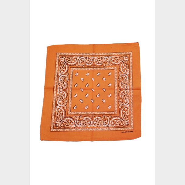 Bandana Classic Paisley